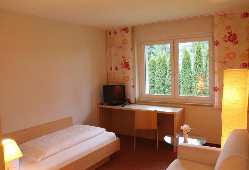 هتل Alhartinger Hof