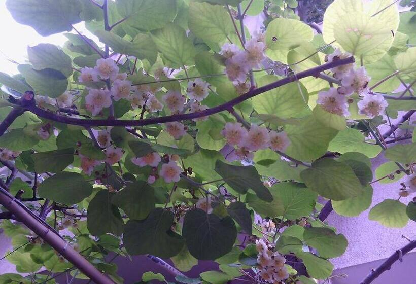 Family Hotel Andreev