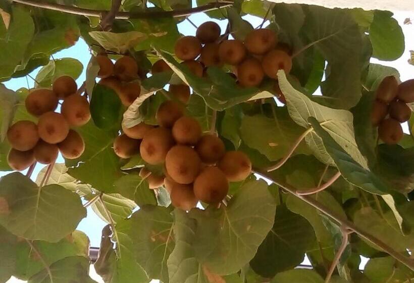 Family Hotel Andreev