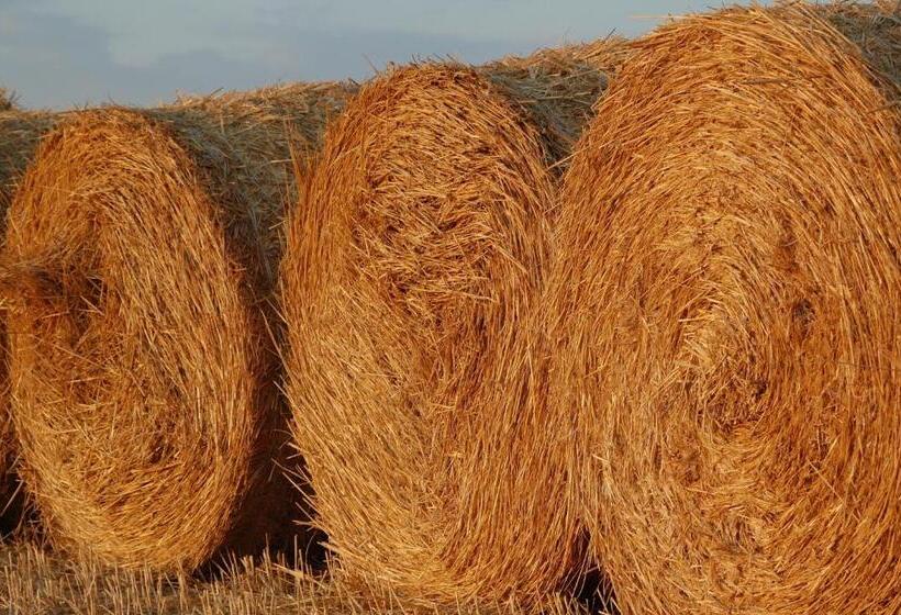 호텔 Azienda Agrituristica Il Giuggiolo