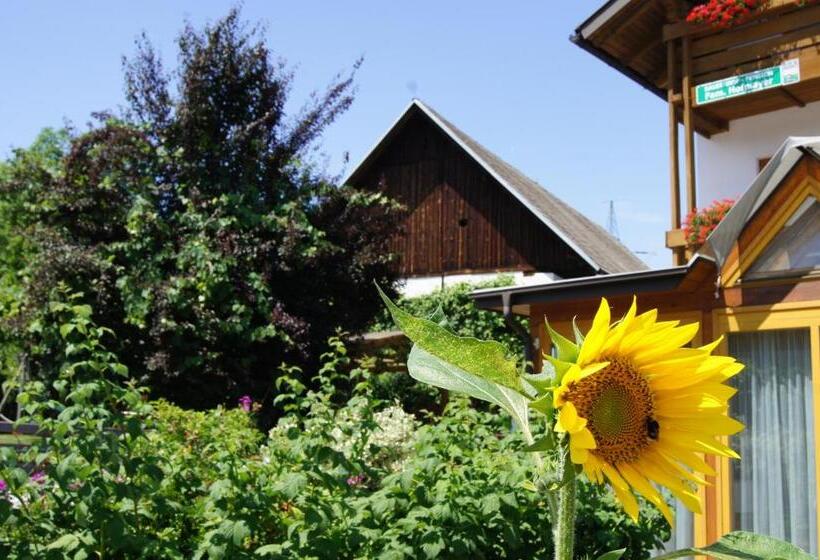 Отель Bauernhof Pension Hofmayer