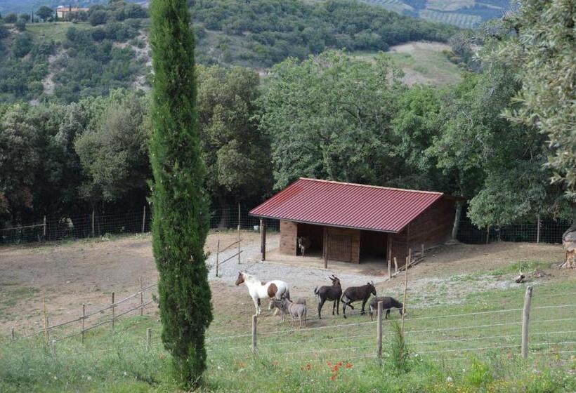 בית מלון כפרי Bellavista