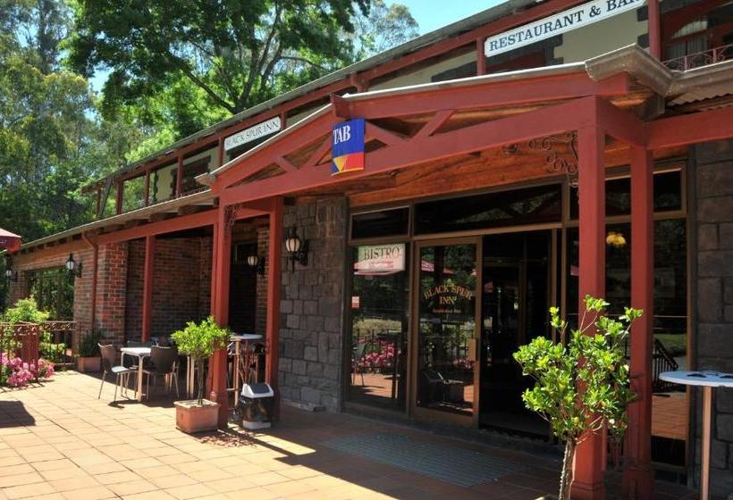 בית מלון כפרי Black Spur Inn