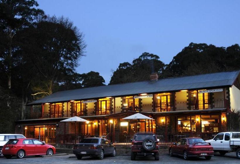 בית מלון כפרי Black Spur Inn