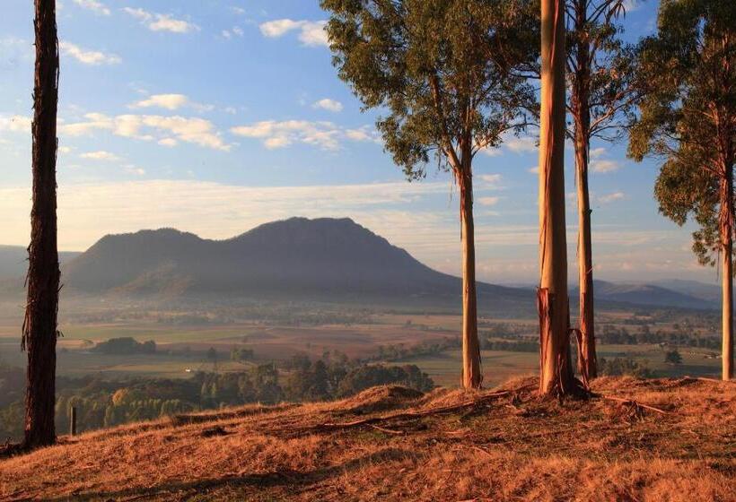 בית מלון כפרי Black Spur Inn