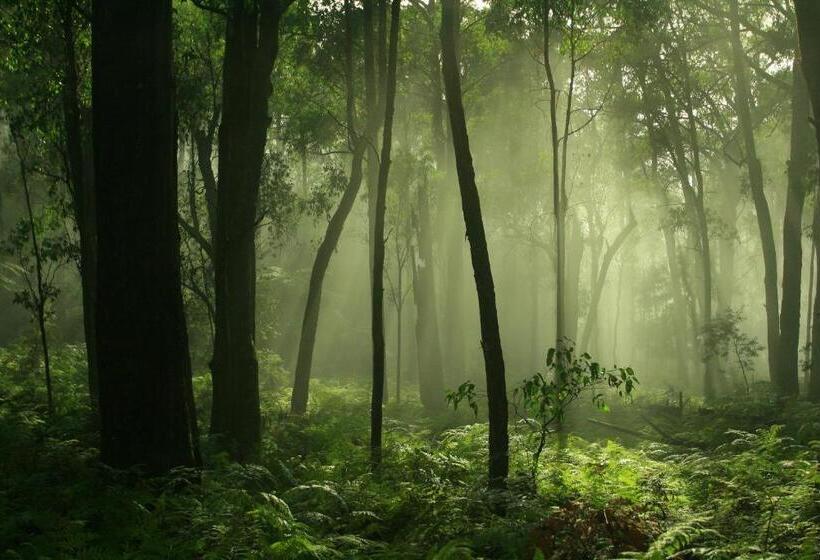 בית מלון כפרי Black Spur Inn