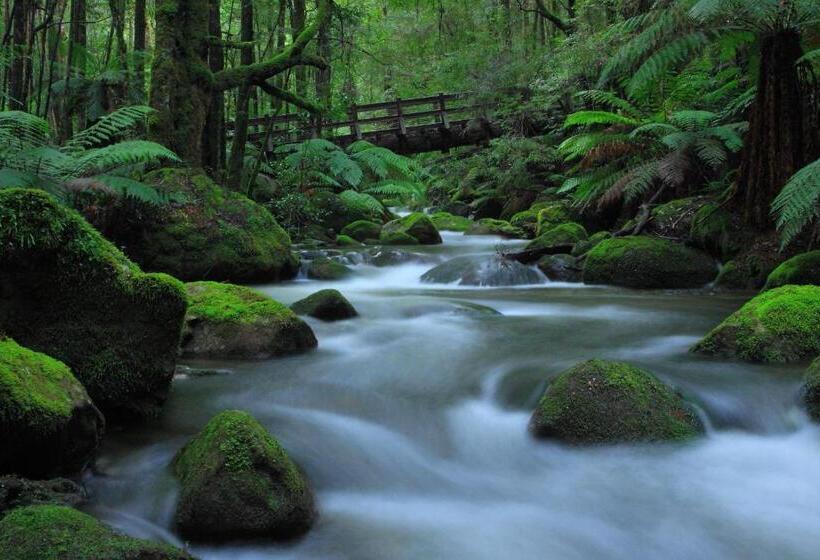 בית מלון כפרי Black Spur Inn