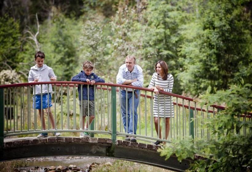 בית מלון כפרי Black Spur Inn