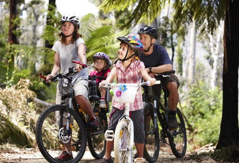 בית מלון כפרי Black Spur Inn