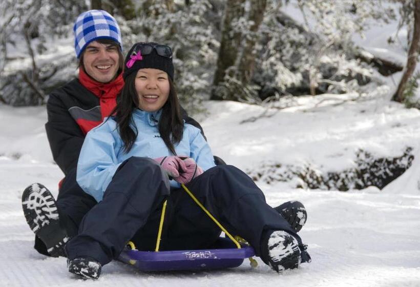 בית מלון כפרי Black Spur Inn