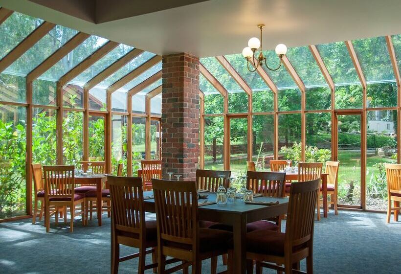 בית מלון כפרי Black Spur Inn