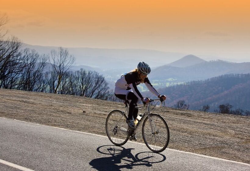 בית מלון כפרי Black Spur Inn