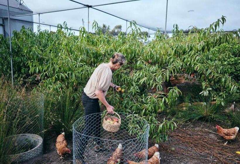 هتل Burnside Organic Farm