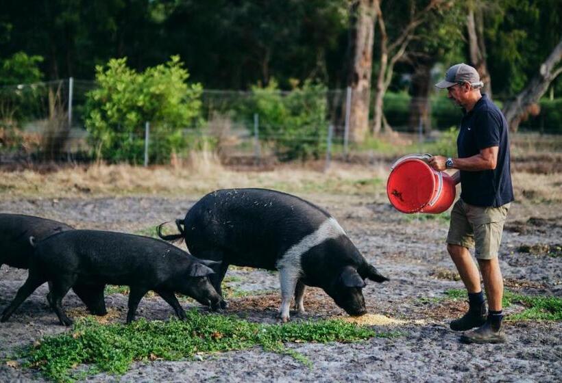 هتل Burnside Organic Farm