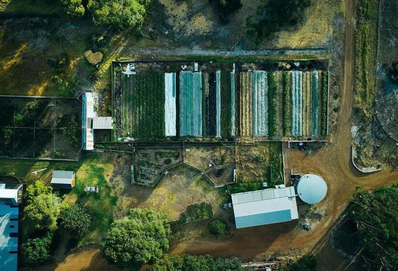 هتل Burnside Organic Farm