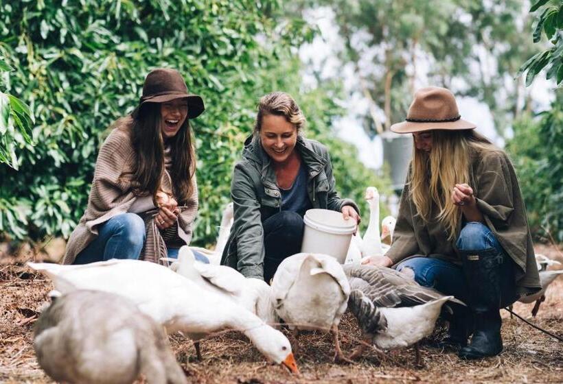 هتل Burnside Organic Farm