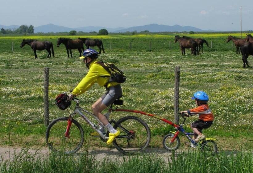 בית מלון כפרי Fattoria Il Duchesco