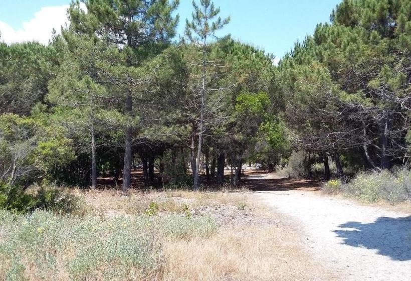 Отель Franceschini