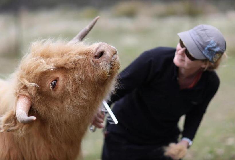 فندق Heimat Farmstay