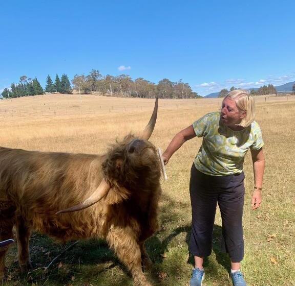 فندق Heimat Farmstay