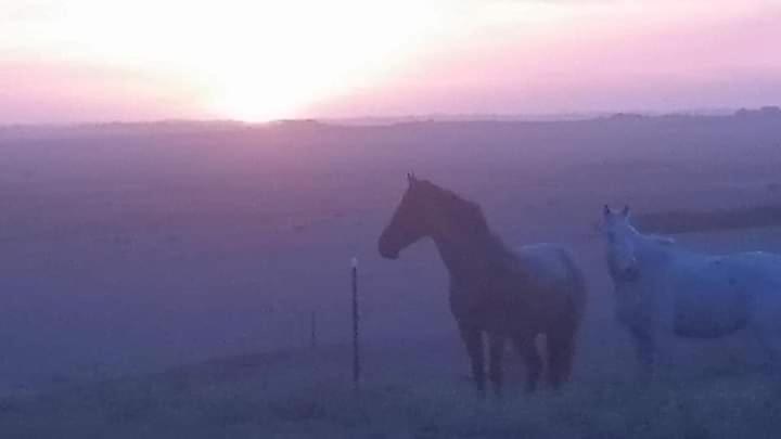 酒店 High View Family Cottages