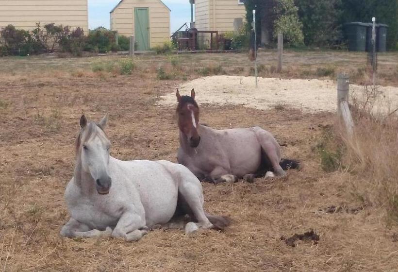 酒店 High View Family Cottages