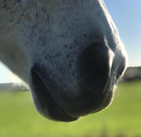 酒店 High View Family Cottages