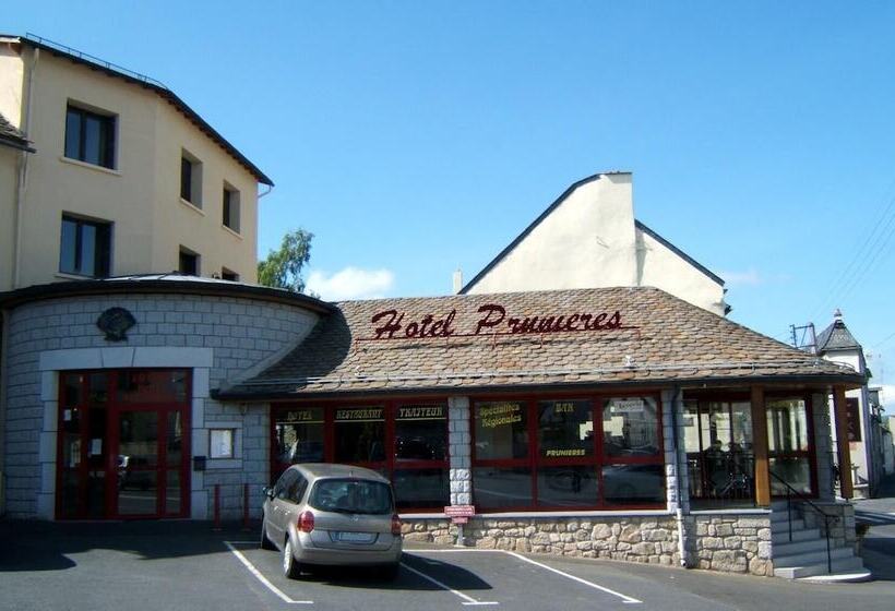 酒店 Hôtel Restaurant Prunières