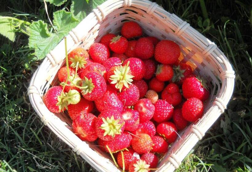 בית מלון כפרי Johanna River Farm & Cottages