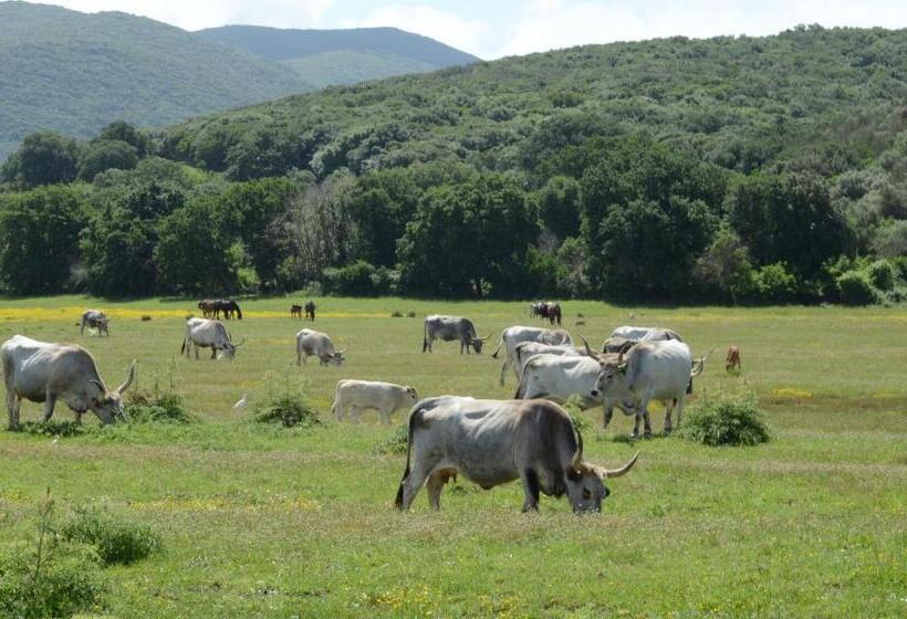 בית מלון כפרי La Mimosa