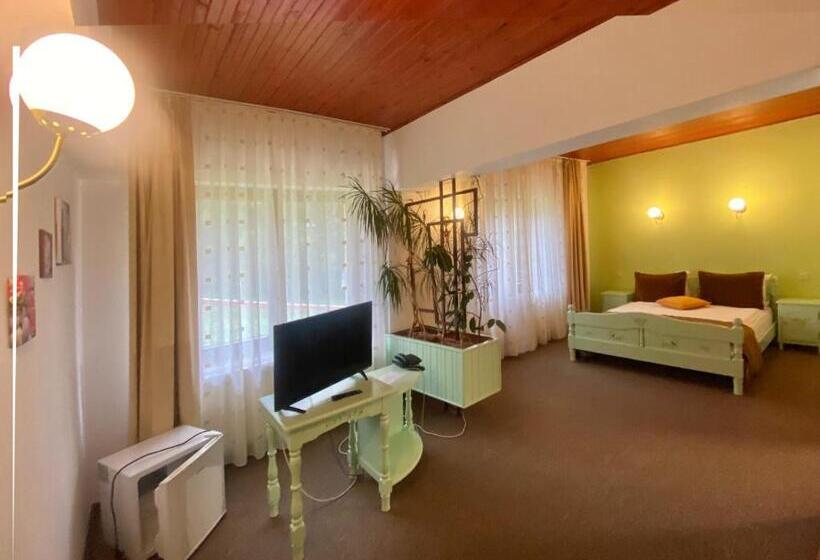 בית מלון כפרי Premier