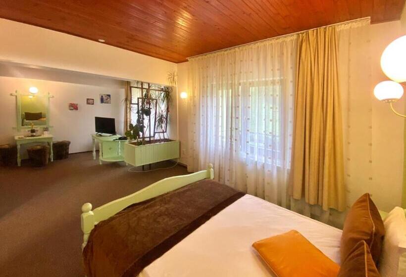 בית מלון כפרי Premier