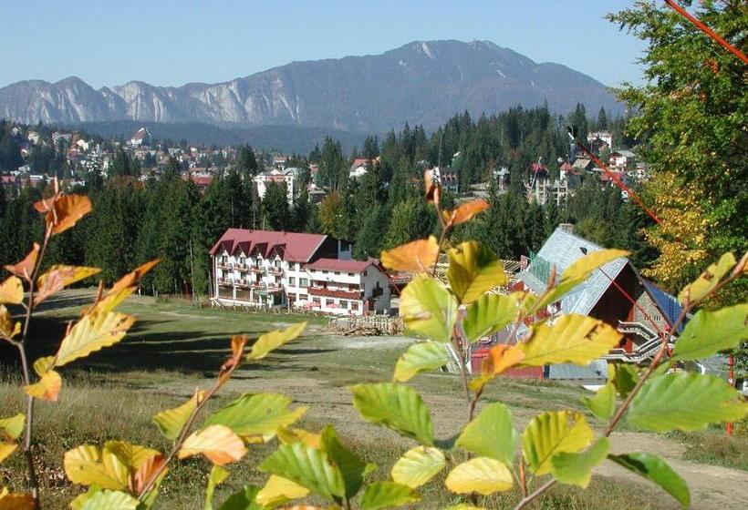 בית מלון כפרי Premier