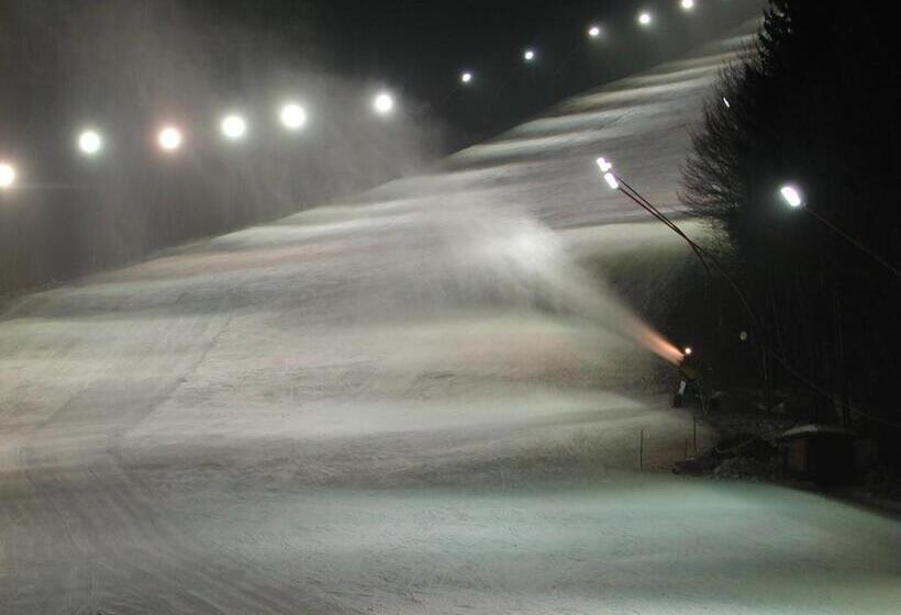 בית מלון כפרי Premier