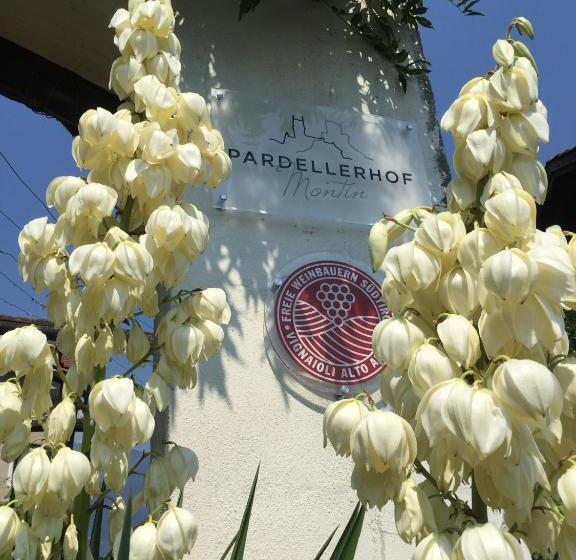 בית מלון כפרי Weingut Pardellerhof