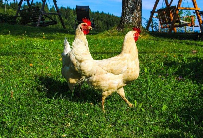 בית מלון כפרי Zukaunighof