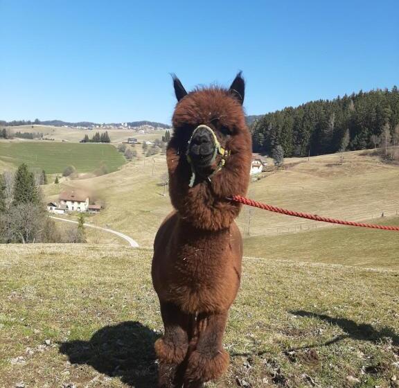 בית מלון כפרי Zukaunighof