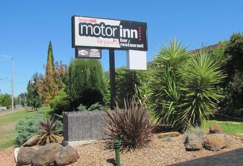 汽车旅馆  Bristol Hill Motor Inn