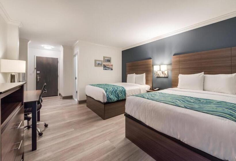 汽车旅馆 Le Voyageur A Red Collection