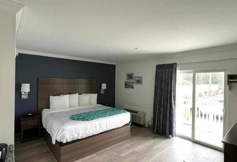 汽车旅馆 Le Voyageur A Red Collection