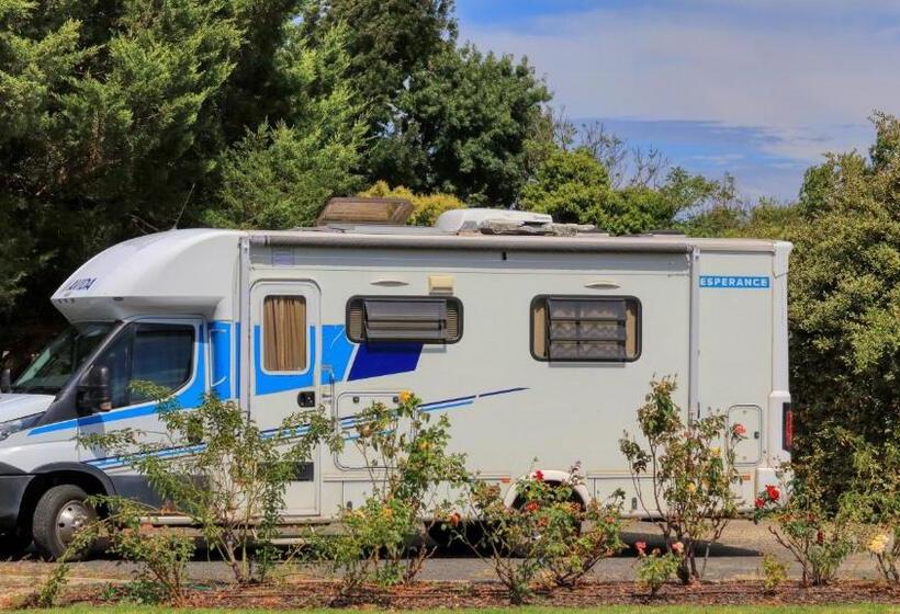 מוטל Southern Comfort Motor Inn