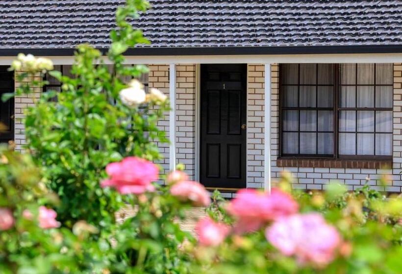 מוטל Southern Comfort Motor Inn