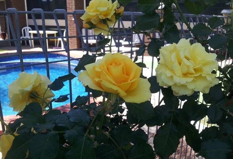 مُتل Warrina Motor Inn Wodonga Cbd