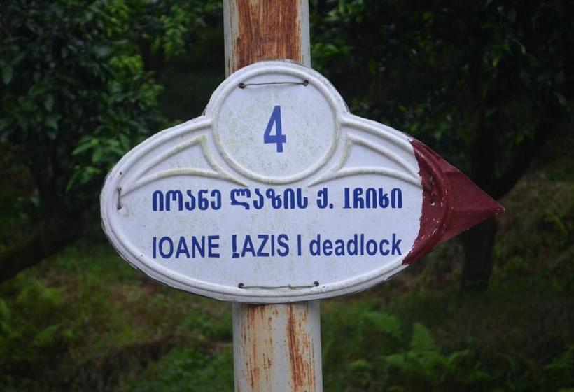 پانسیون Akhmed Guest House