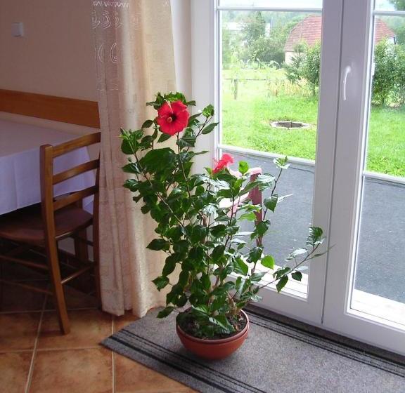 ペンション Apartmány Záhořovo Lože