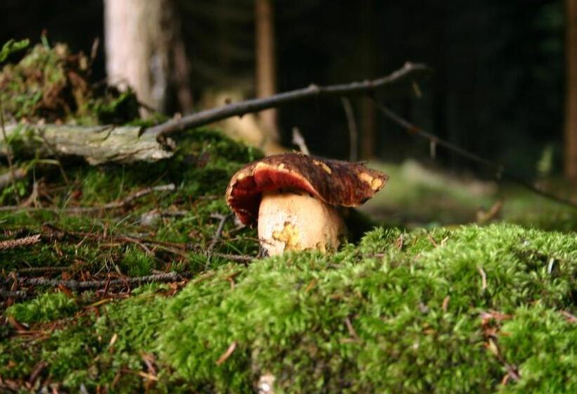 ペンション Apartmány Záhořovo Lože