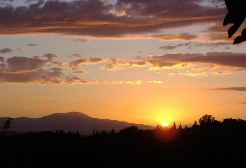 Pension Collebrunacchi B&b