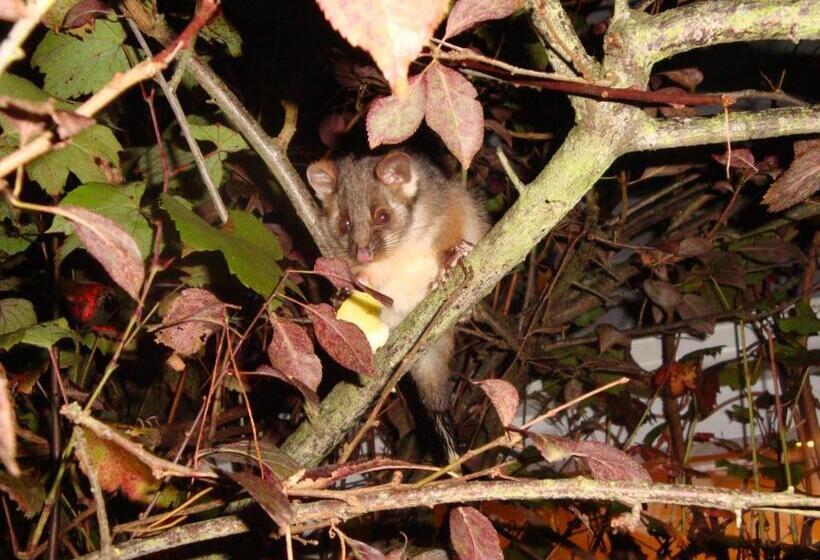 פנסיון Devon Long Barn