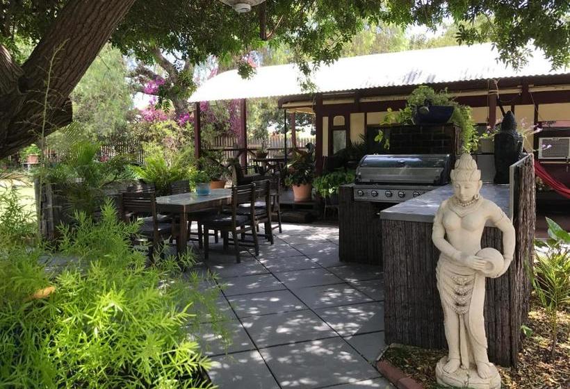 بنسيون Dongara Breeze Inn