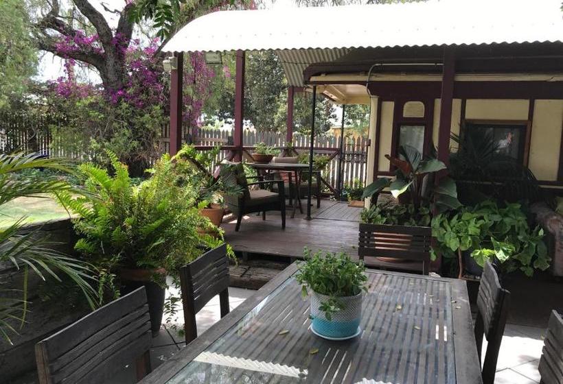 بنسيون Dongara Breeze Inn